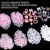 image:imageFAMDAMEI 24 Grid Flat Back Pearls and Rhinestones for Dazzling Kit Clear White Pink Pearls Flatback Resin Jelly RhinestonesFlower 3D Nail Charms and Gems for Crafting Rhinestone for Crafts
