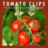 image:imageFANDAMEI 300 PCS Plant Support Clips Plastic Garden Plant Ties Tomato Clips Trellis for Tomato Cucumber Flower Squash Vine 1 Inner Diameter for Climbing Plants