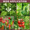 image:imageFANDAMEI 300 PCS Plant Support Clips Plastic Garden Plant Ties Tomato Clips Trellis for Tomato Cucumber Flower Squash Vine 1 Inner Diameter for Climbing Plants