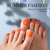 image:imageFANDAMEI Press on Toe Nails 12 Packs 288PCS Press on Toenails Short Square Fake Toe Nails Full Cover Acrylic False 12 Color Matte Toenails for Women Girls Nail Art DIYMulticolor Matte