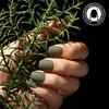 image:imageFANDAMEI Press on Nails Short 24 Packs 576PCS Short Round Press on Nails 24 Glossy Color Small Fake Glue on Nails with 7g Nail Glue 24 Color False Nail for Small Nails and handsShort Round Matte