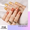 image:imageFANDAMEI Press on Nails 24 Colors 576PCS Press on Nails Short Square Matte Glossy Glitter Nails Short Round Natural Fit Lightweight Fake Nails Natural for Nail Artglossycat eyefrench tip