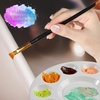 image:imageFANDAMEI Round Paint Tray Palettes and Paint Brushes Set Paintbrushes 3 PCS Plastic Paint Palettes Pallets 10 PCS Acrylic Paint Brushes Nylon Hair Painting Brushes for Acrylic Oil WatercolorBlack